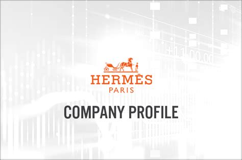 hermes company profile pdf|hermes company website.